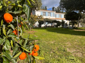 Villa Silmar Capitana